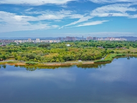 青龍湖濕地公園